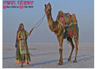 Rann Utsav 2024-2025 | Kutch White Desert Tent Booking & Prices