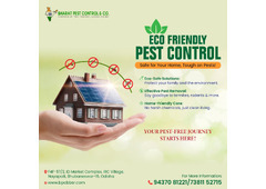 Termite Control Service in Bhubaneswar, Odisha