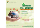 Termite Control Service in Bhubaneswar, Odisha