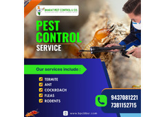 Low Price Termite Control Service in Bhubaneswar, Odisha