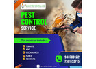 Low Price Termite Control Service in Bhubaneswar, Odisha