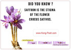 Looking for the finest Kashmiri saffron to elevate your taste and wellness